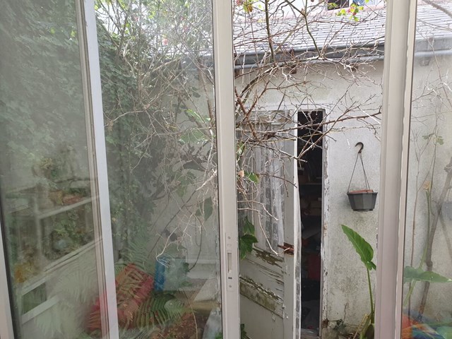 Ancienne véranda, sous la végétation